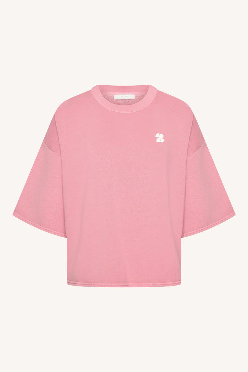 Willow dictionary top