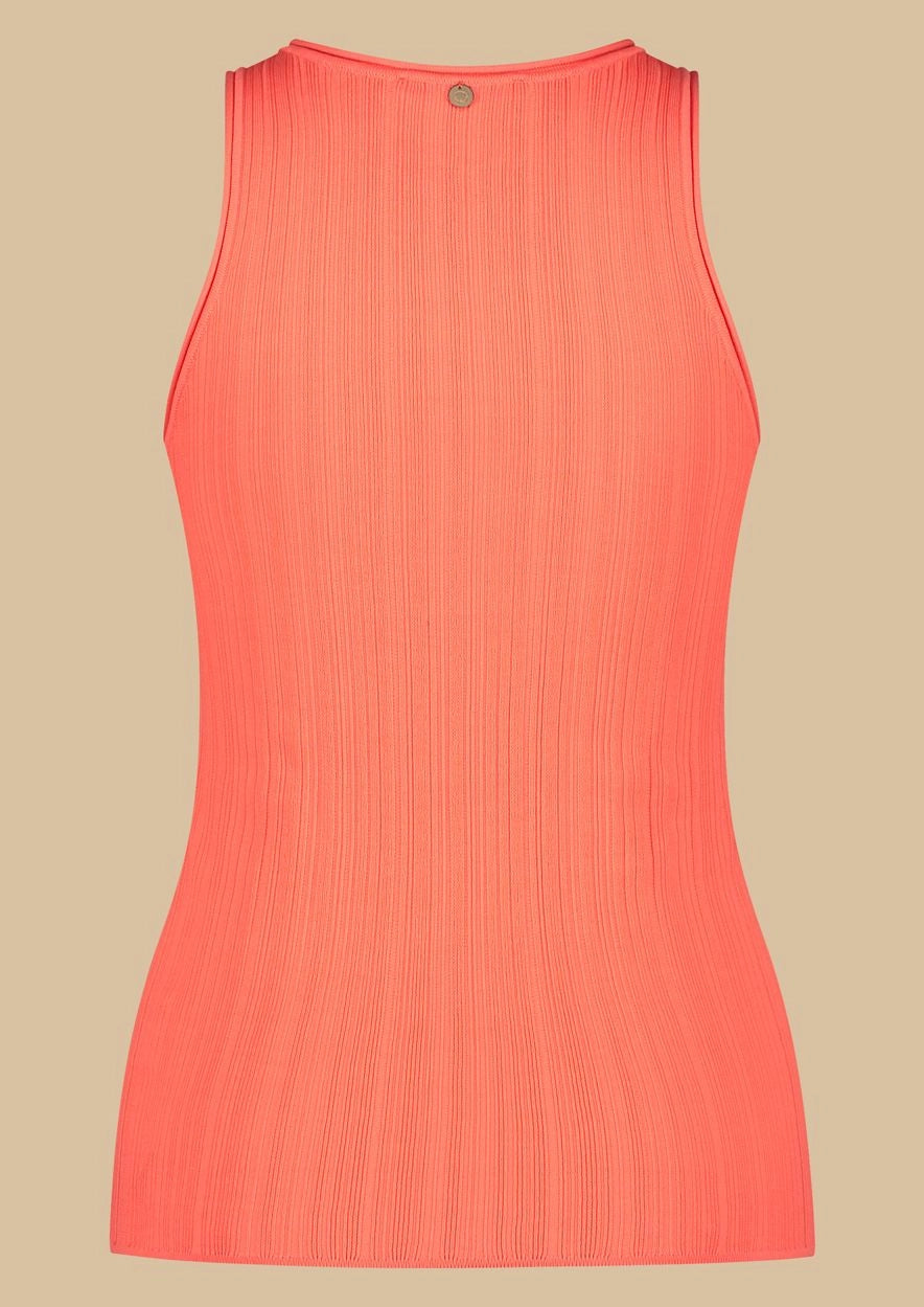 Brynn Top - Tropical paradise