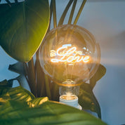 LED Lamp Love E27