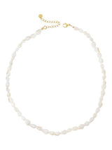Korte Ketting Met Schelpjes