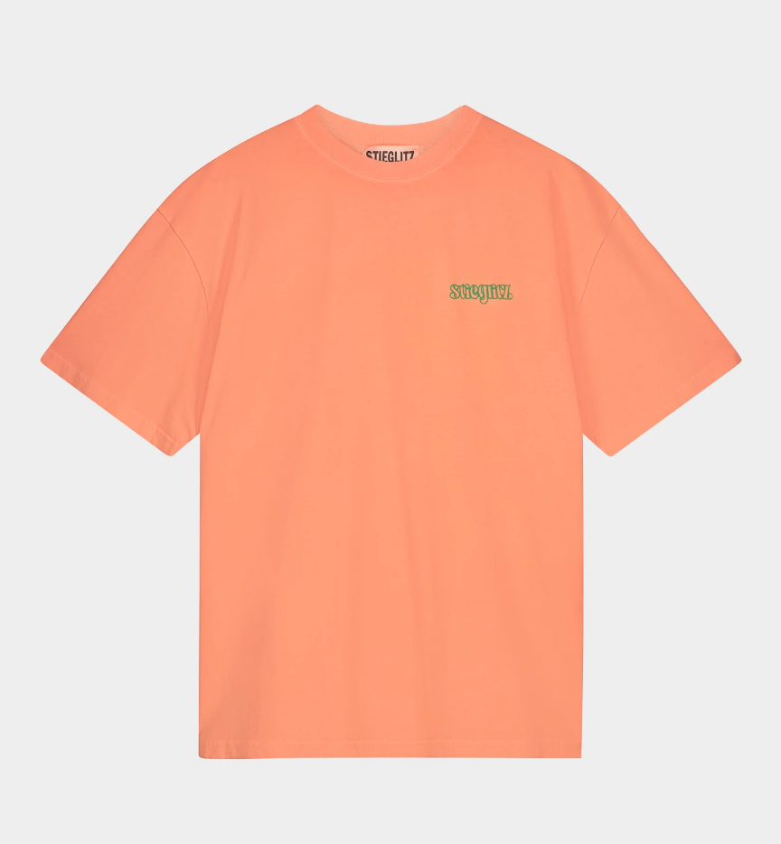 World of Stieg Oversized T-Shirt